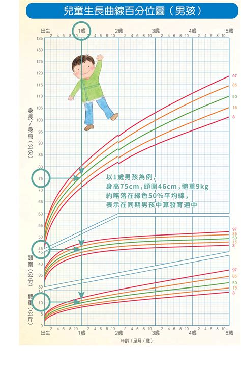 7 18 歲 兒童 生長 曲線 圖